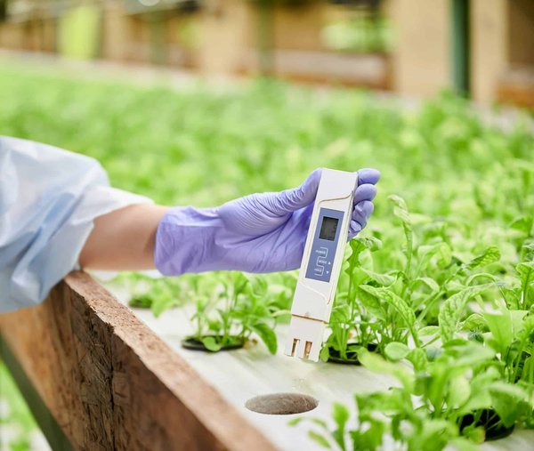 Qual è il metodo più affidabile per testare la resistenza all'acqua dei componenti elettronici in un veicolo?